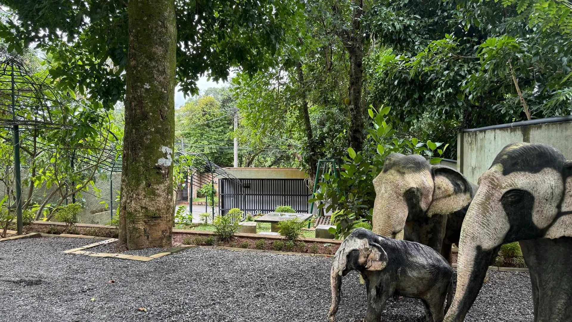 Hotel Hasthi Boutique Kandy